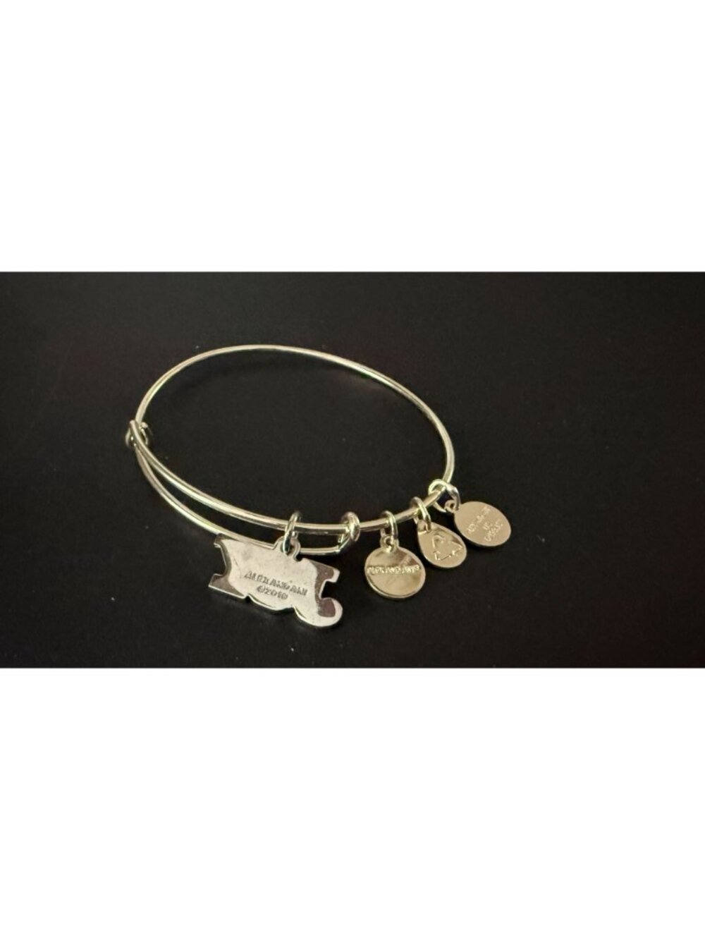 NWOT Alex & Ani Joy Sand Dollar Expandable Bangle Bracelet Silver Tone Beach - Picture 6 of 8